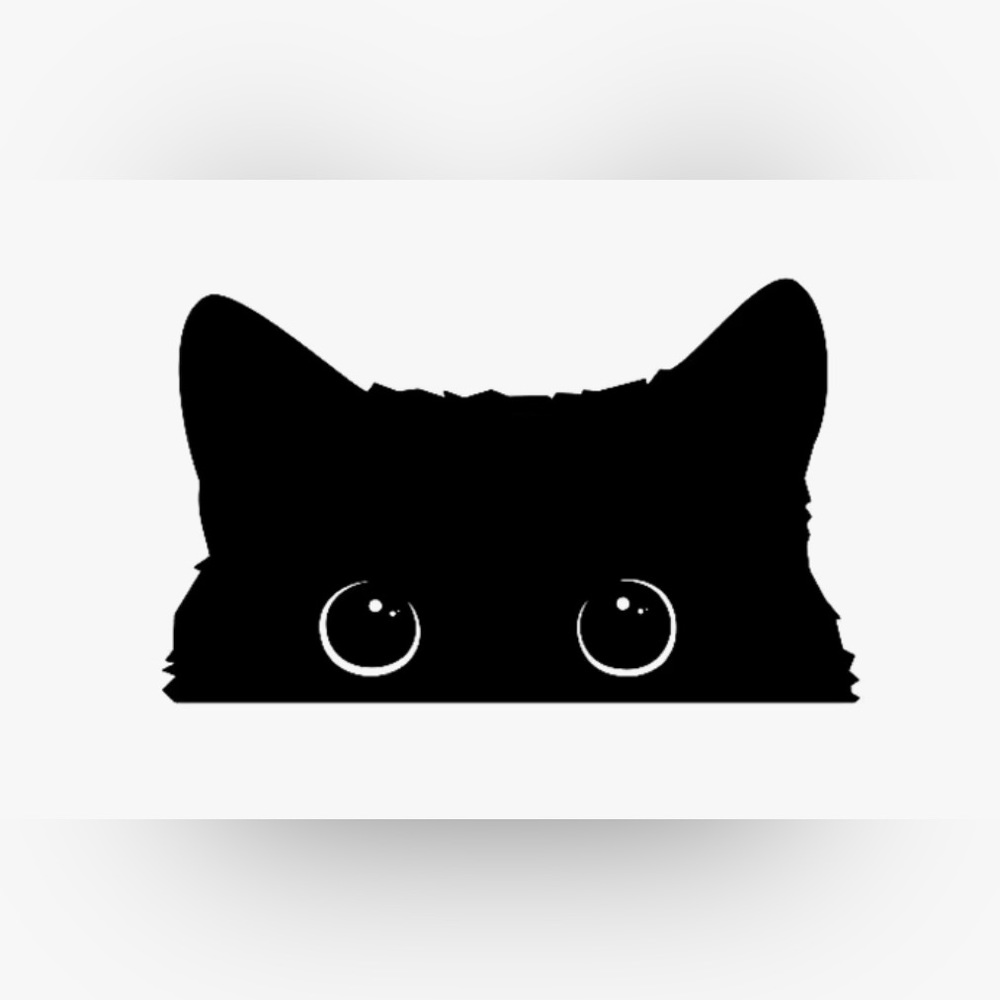 3/$15 Spying Cat Vinyl Car Decal / Sticker - Picture 3 of 5